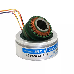 Encoder Tamagawa TS2620N21E11 Nuovo originale Tamagawa TS2620N21E11 in magazzino